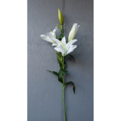 Lys stargazer 2 fleurs et 2 boutons