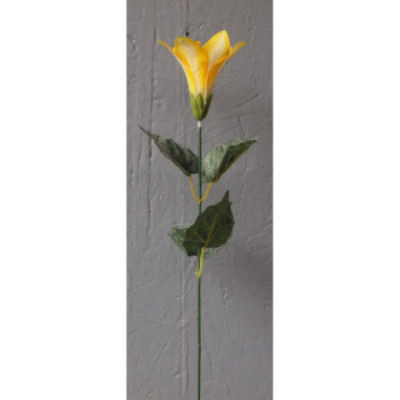 Lys trompette sur tige