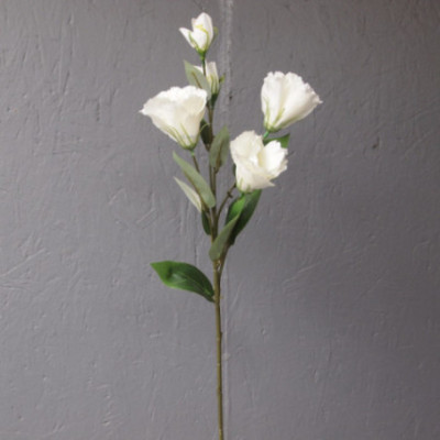 Lisianthus 3 fleurs et 2 boutons