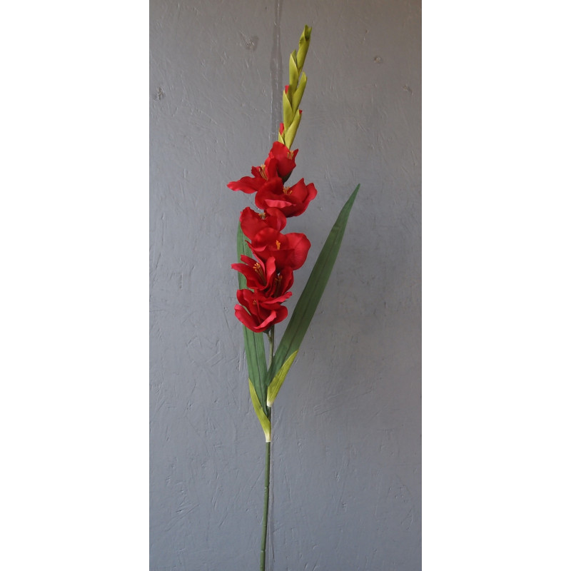 Grande tige glaïeul