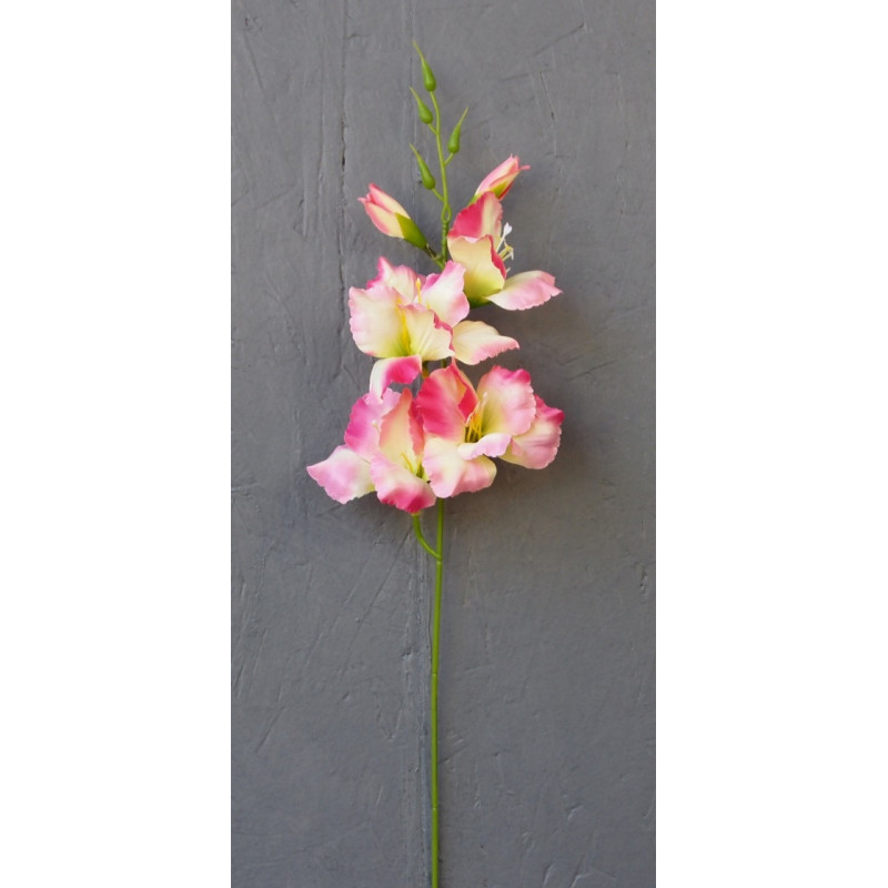 Petit glaïeul 4 fleurs et 1 bouton