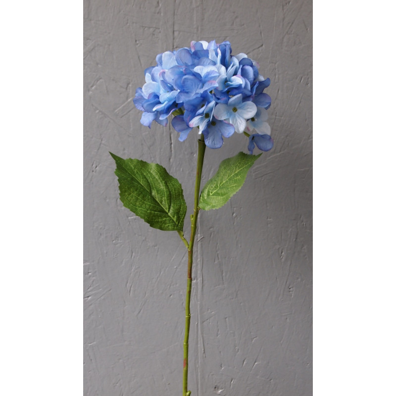 Boule d'hortensia feuillue