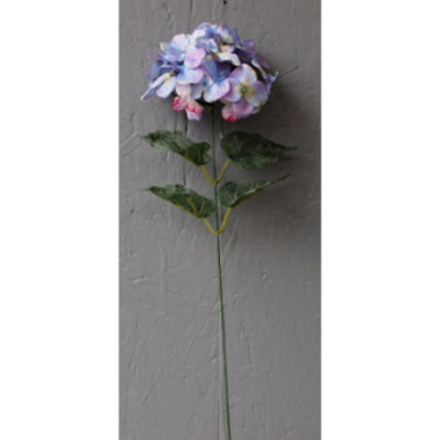 Boule d'hortensia sur tige