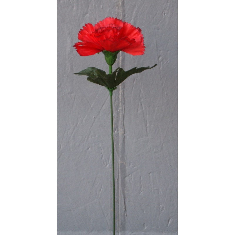 Œillet sur tige