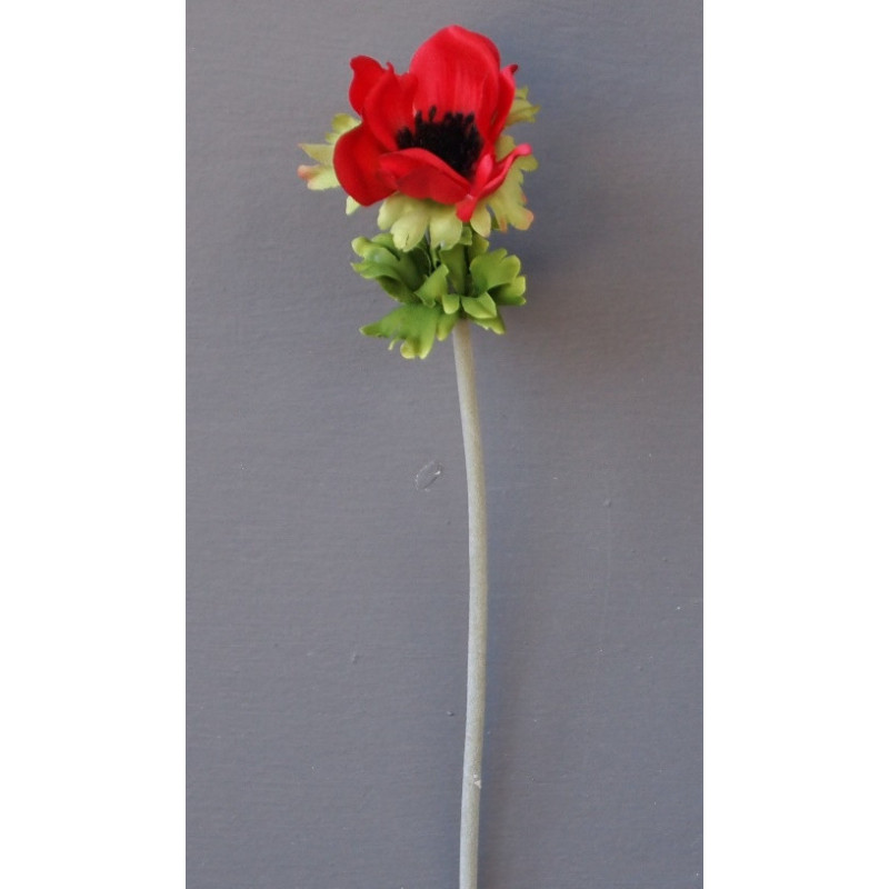 Petite anémone tige souple