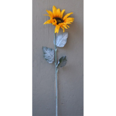 Tournesol 1 grosse fleur