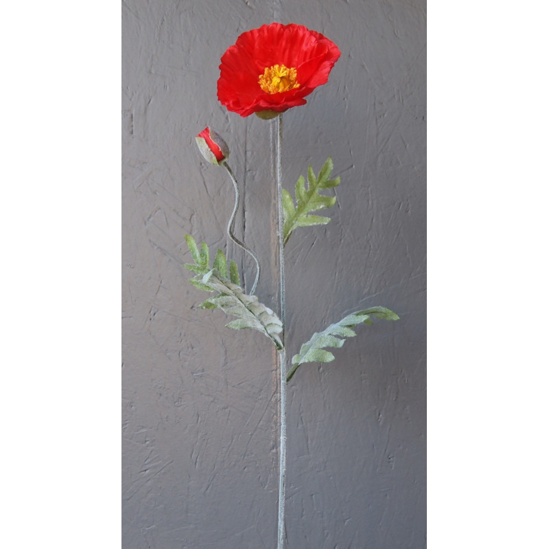 Pavot 1 grosse fleur et 1 bouton