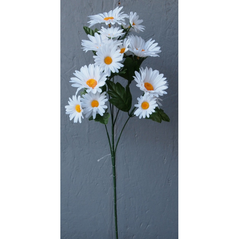 Marguerite 5 branches