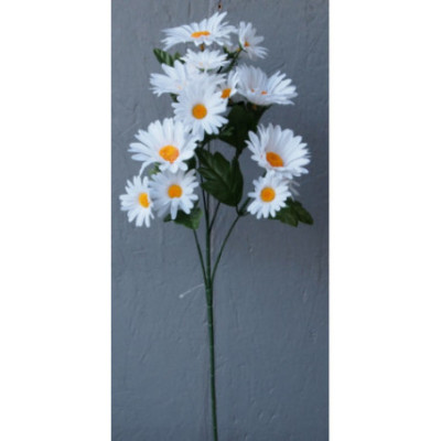 Marguerite 5 branches