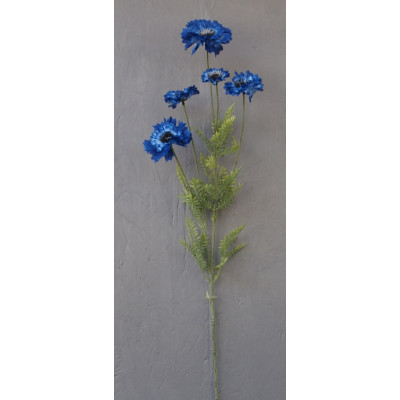 Bleuet 5 fleurs