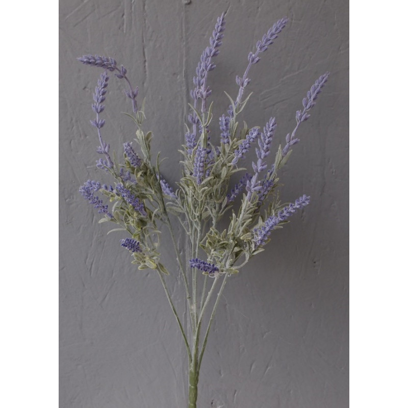 Lavande 7 branches