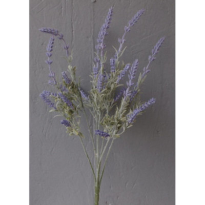 Lavande 7 branches