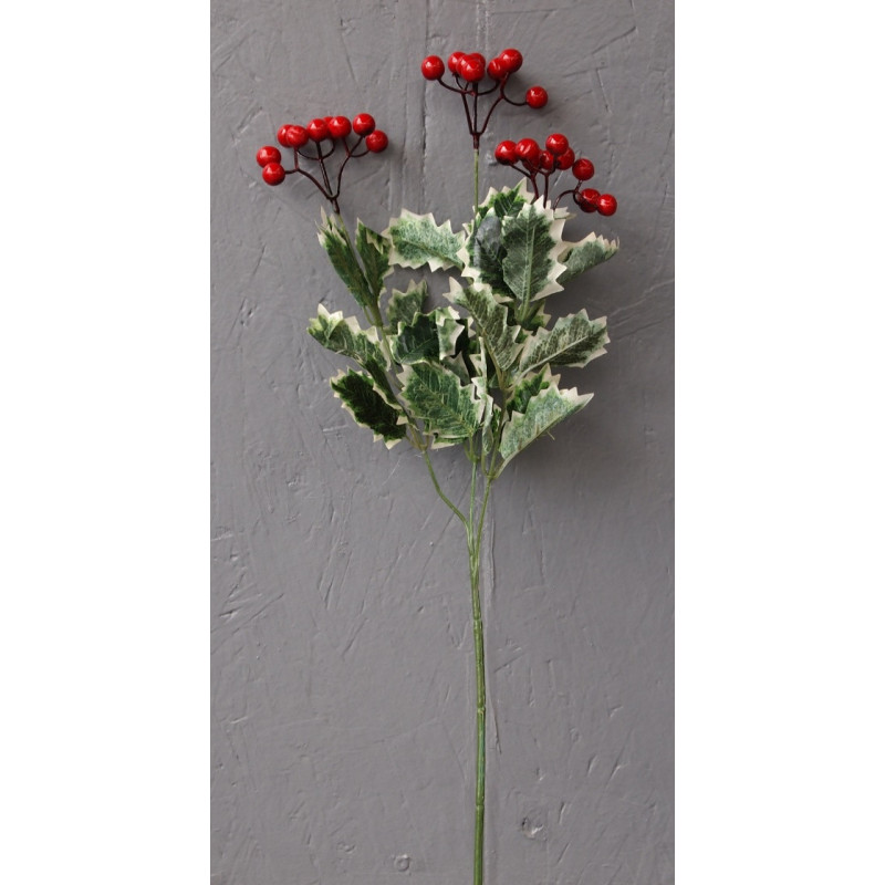 Houx 3 branches feuilles panachées