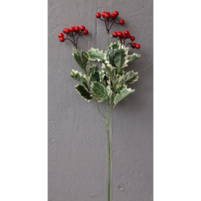 Houx 3 branches feuilles panachées