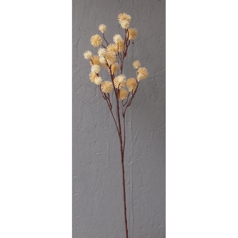 Boule graine d'érable