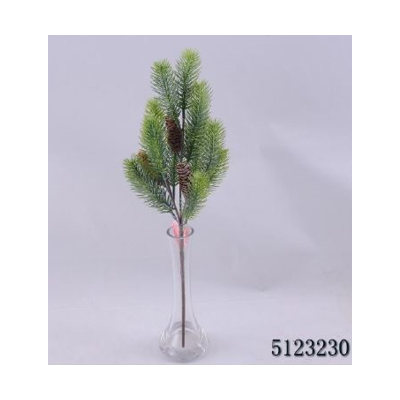 Branche de sapin avec fruit