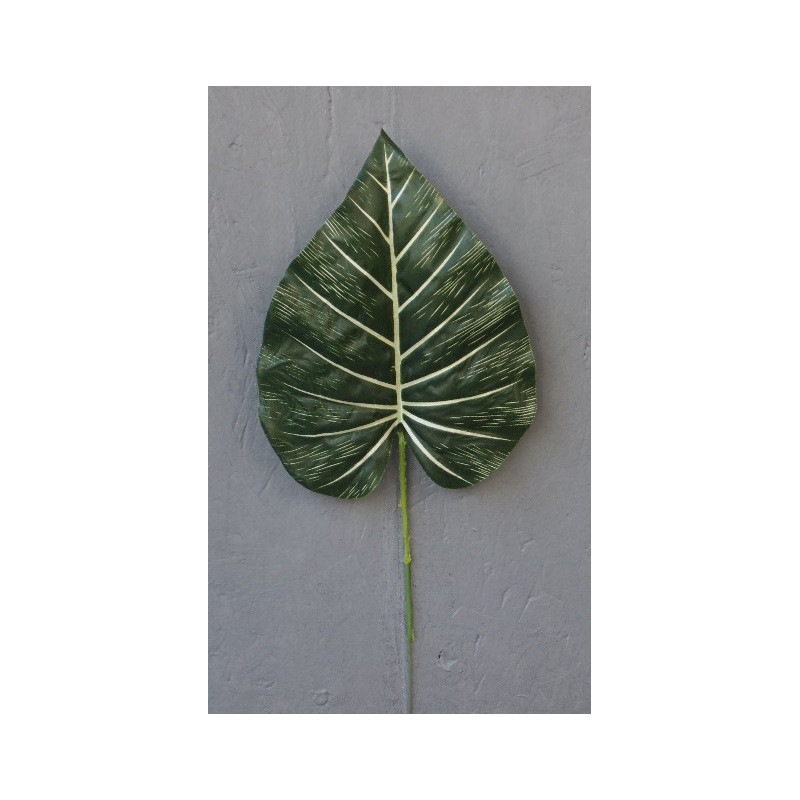Feuille d'anthurium