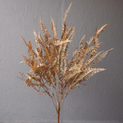 Bouquet de fougère fine