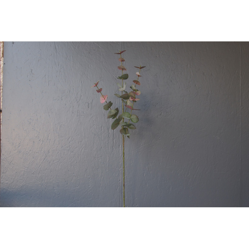 Branche d'eucalyptus, 4 tiges