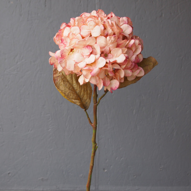Tige d'hortensia grosse fleur, imitation fleurs stabilisées ou séchées