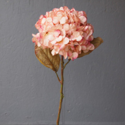 Tige d'hortensia grosse fleur, imitation fleurs stabilisées ou séchées