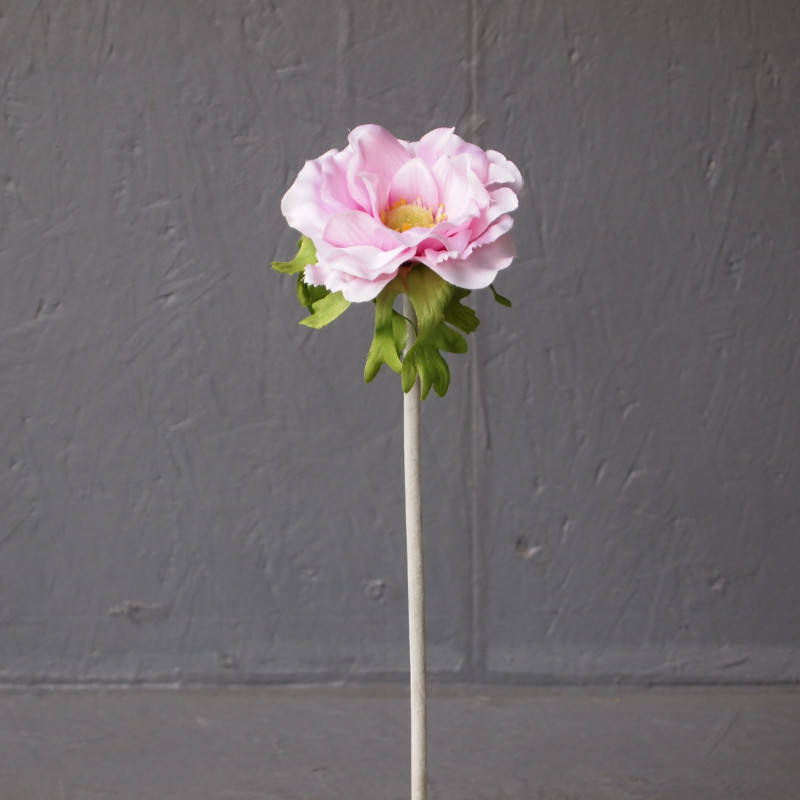 Anémone sur tige articulée