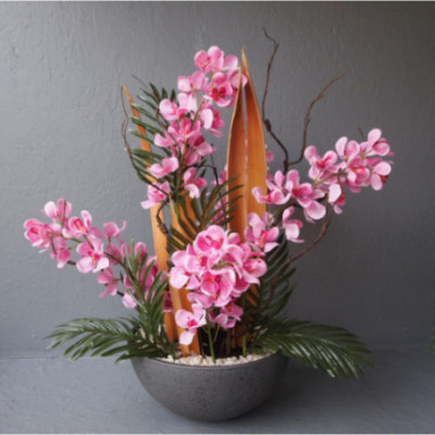 Coupe Dendrobium