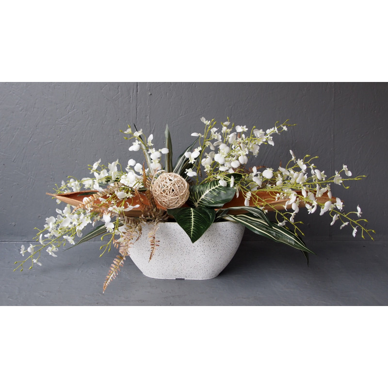 Jardinière Oncidium