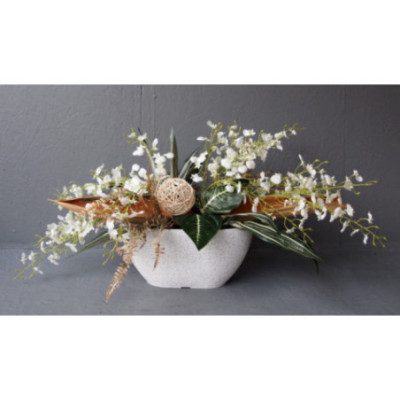 Jardinière Oncidium