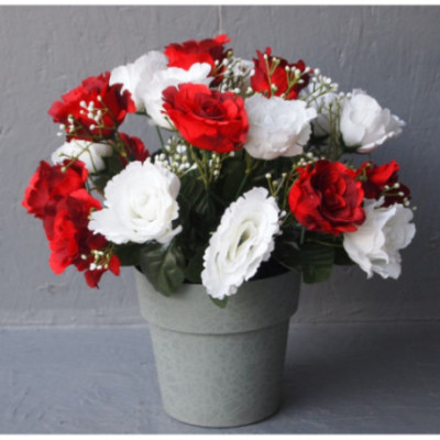 Pot roses ouvertes bicolores