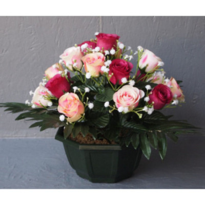 Coupe roses bt bicolores