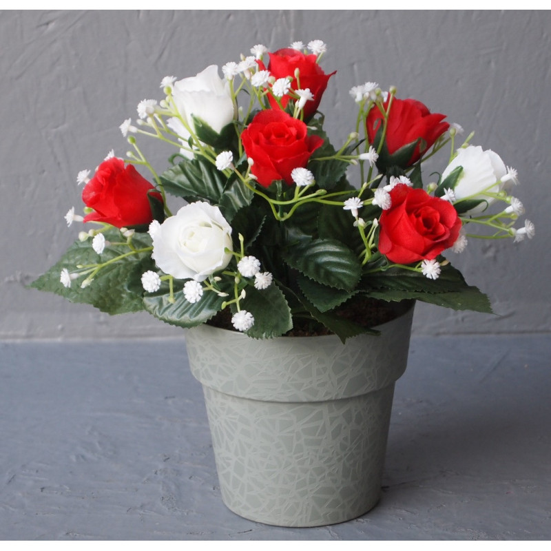 Pot roses mini