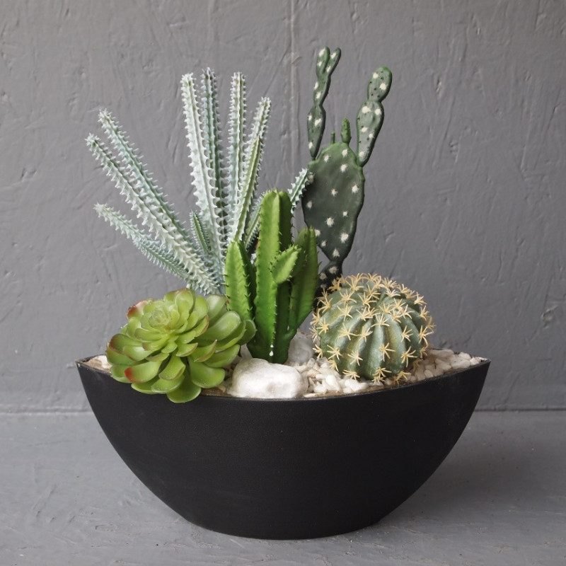 Coupe évasée succulentes