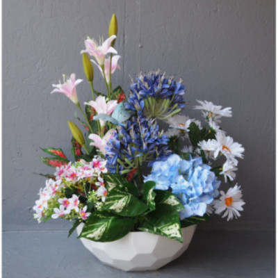 Compo Quartz plantes