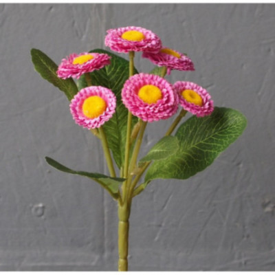 Bouquet de paquerette