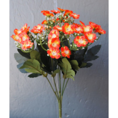 Bouquet de kalanchoé