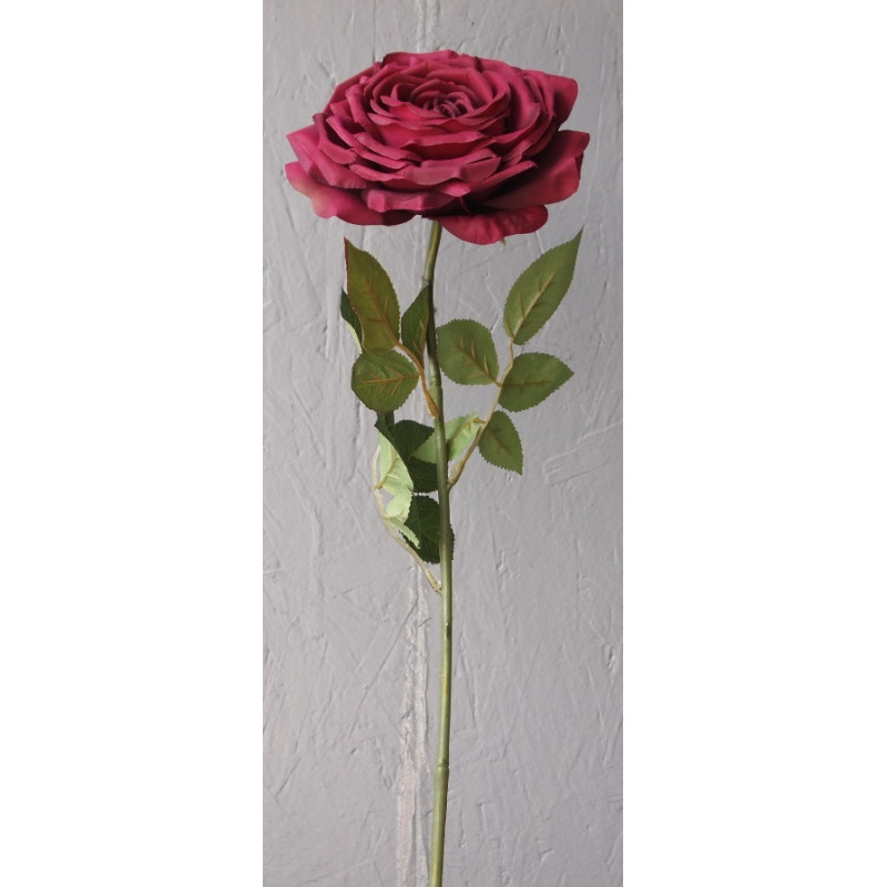 Rose ouverte grande taille
