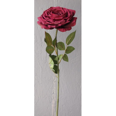 Rose ouverte grande taille