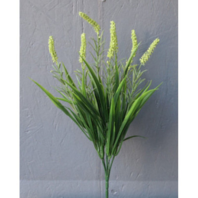 Bouquet de véronique