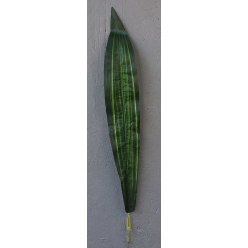 Feuille de dracéna vert