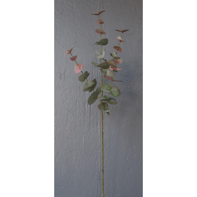 Branche d'eucalyptus, 4 tiges