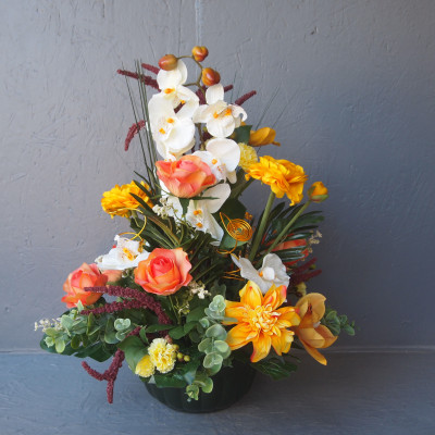Compo haute et ronde orchid