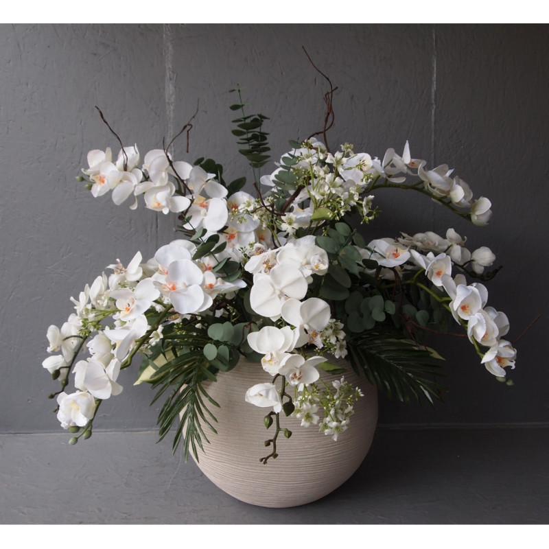 Compo prestige orchid Compo prestige orchid