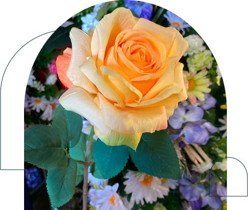 Fleurs à la tige et bouquets
